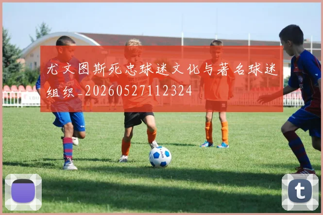 尤文图斯死忠球迷文化与著名球迷组织_20260527112324